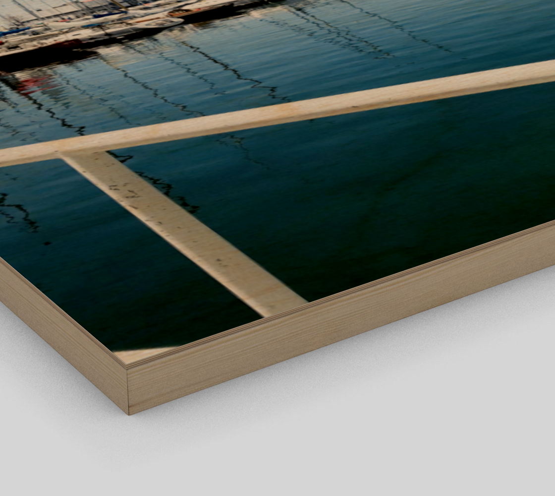 Lower Bathurst Canvas Print