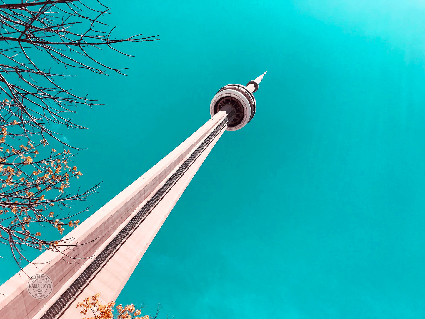 THE CN TOWER Canvas Print